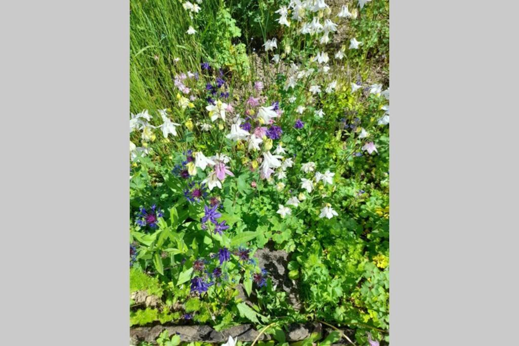 Hinter Burg, Haus mit Garten Mayen Exterior foto